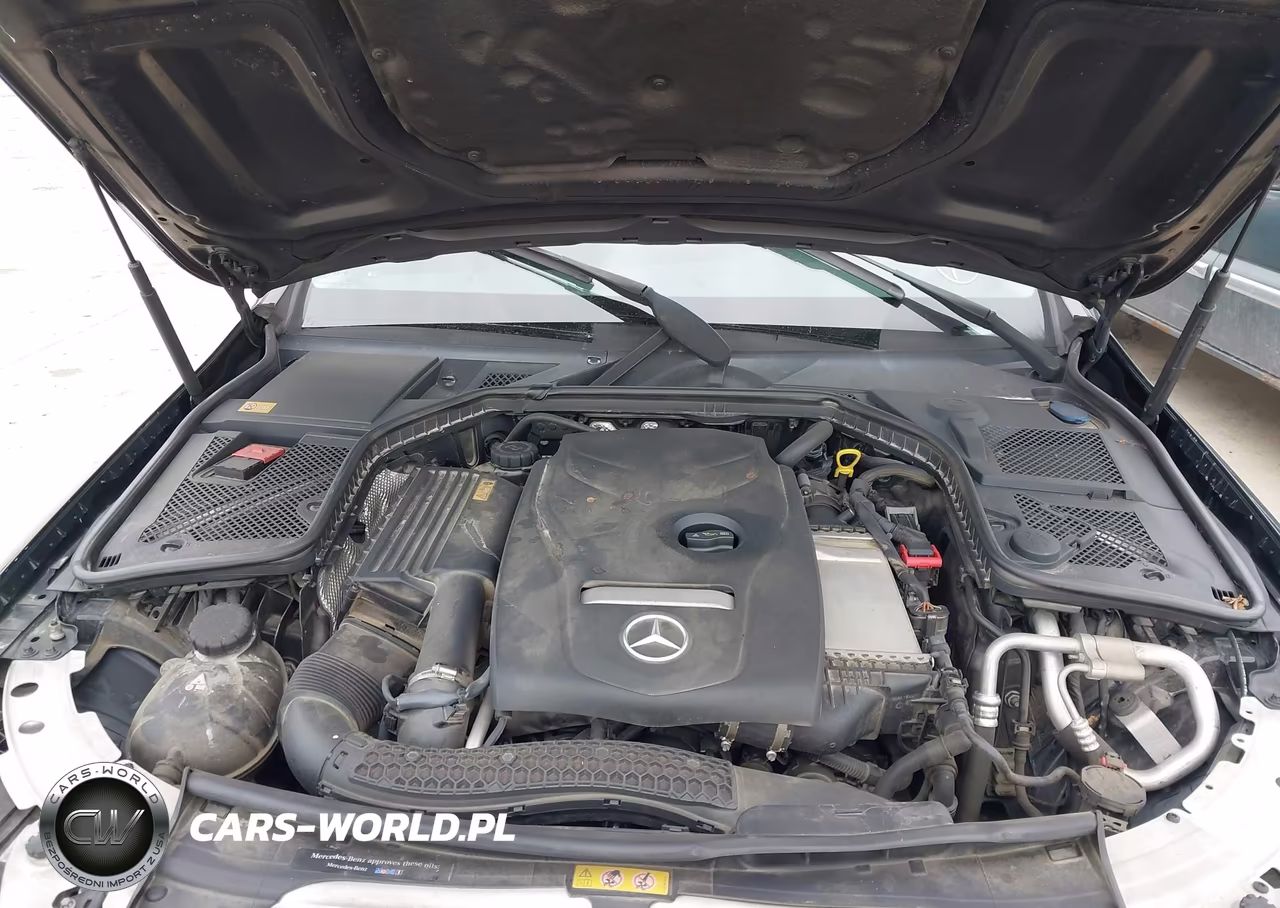 2015 Mercedes-Benz C 300 4Matic VIN:55SWF4KB1FU029403 - 10