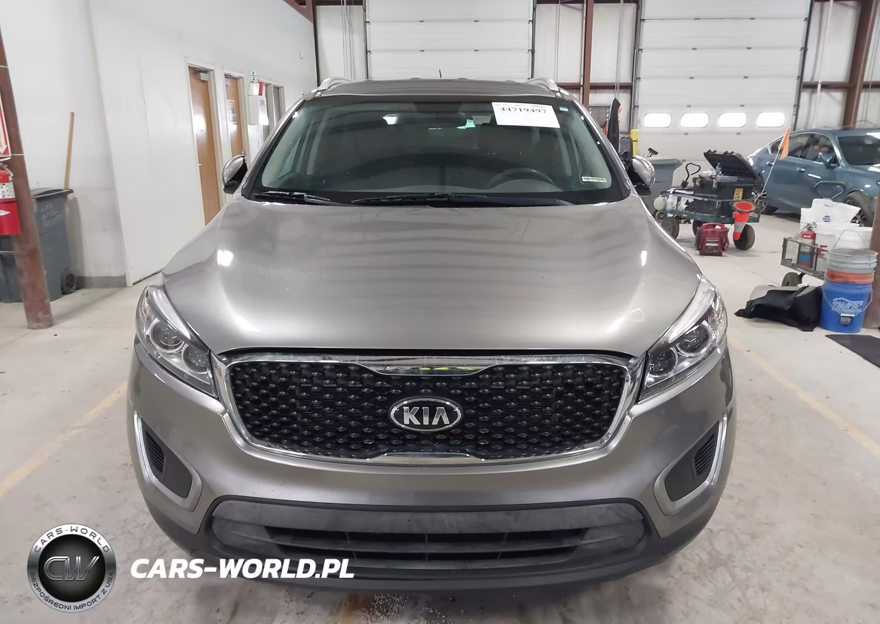 2017 Kia Sorento 3.3L Lx VIN:5XYPGDA54HG194162 - 12