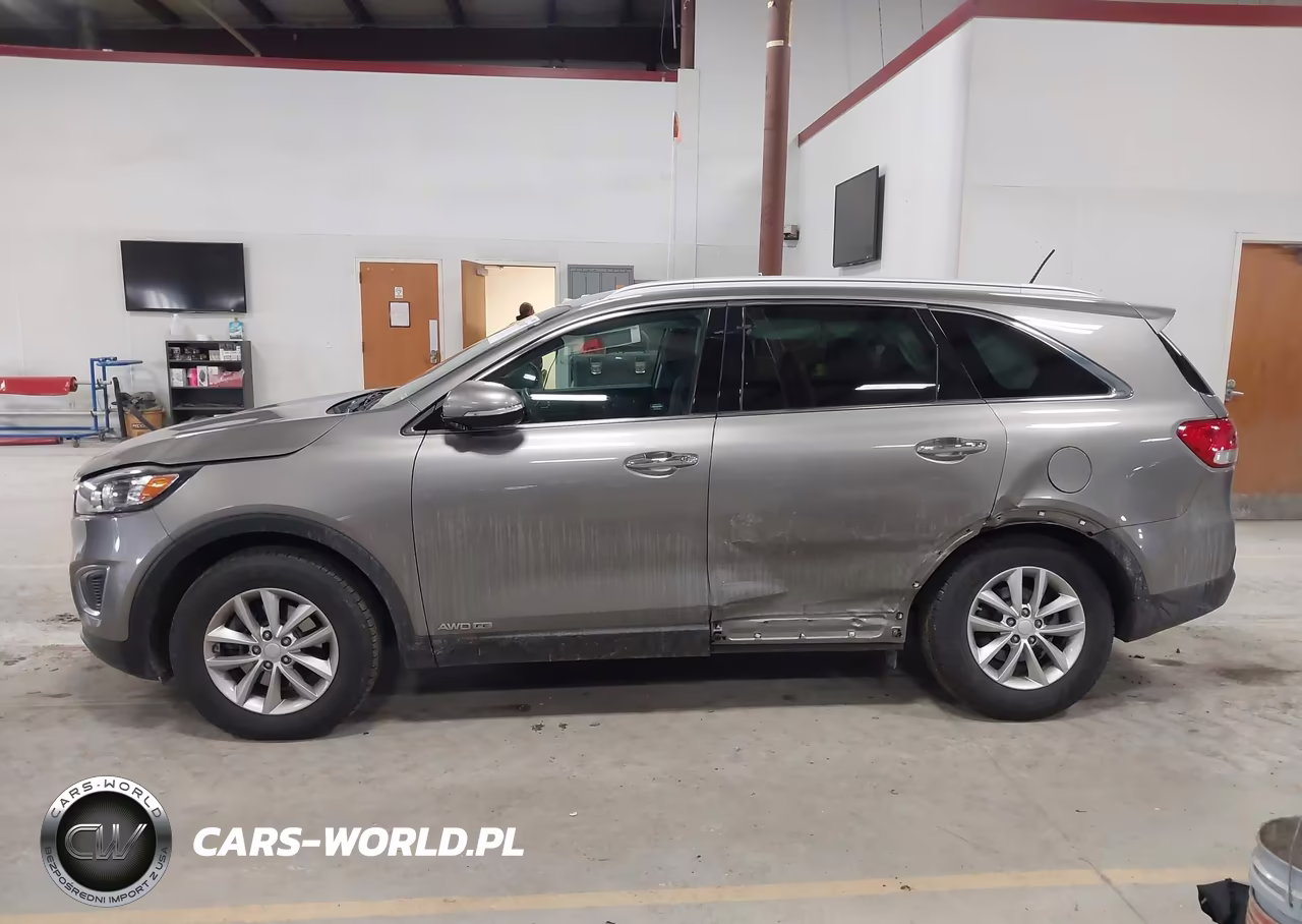 2017 Kia Sorento 3.3L Lx VIN:5XYPGDA54HG194162 - 14