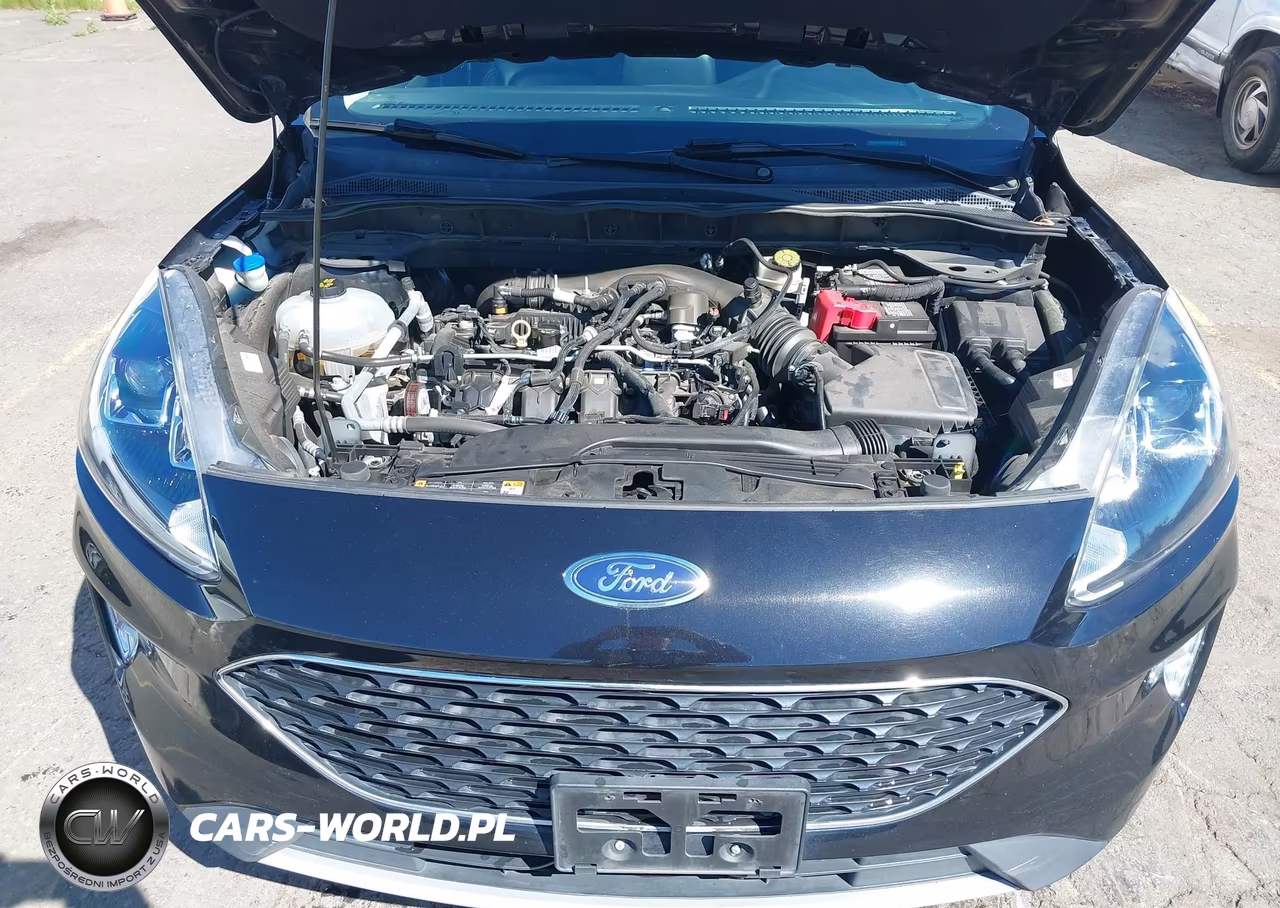 2022 Ford Escape Sel VIN:1FMCU9H96NUA45190 - 10