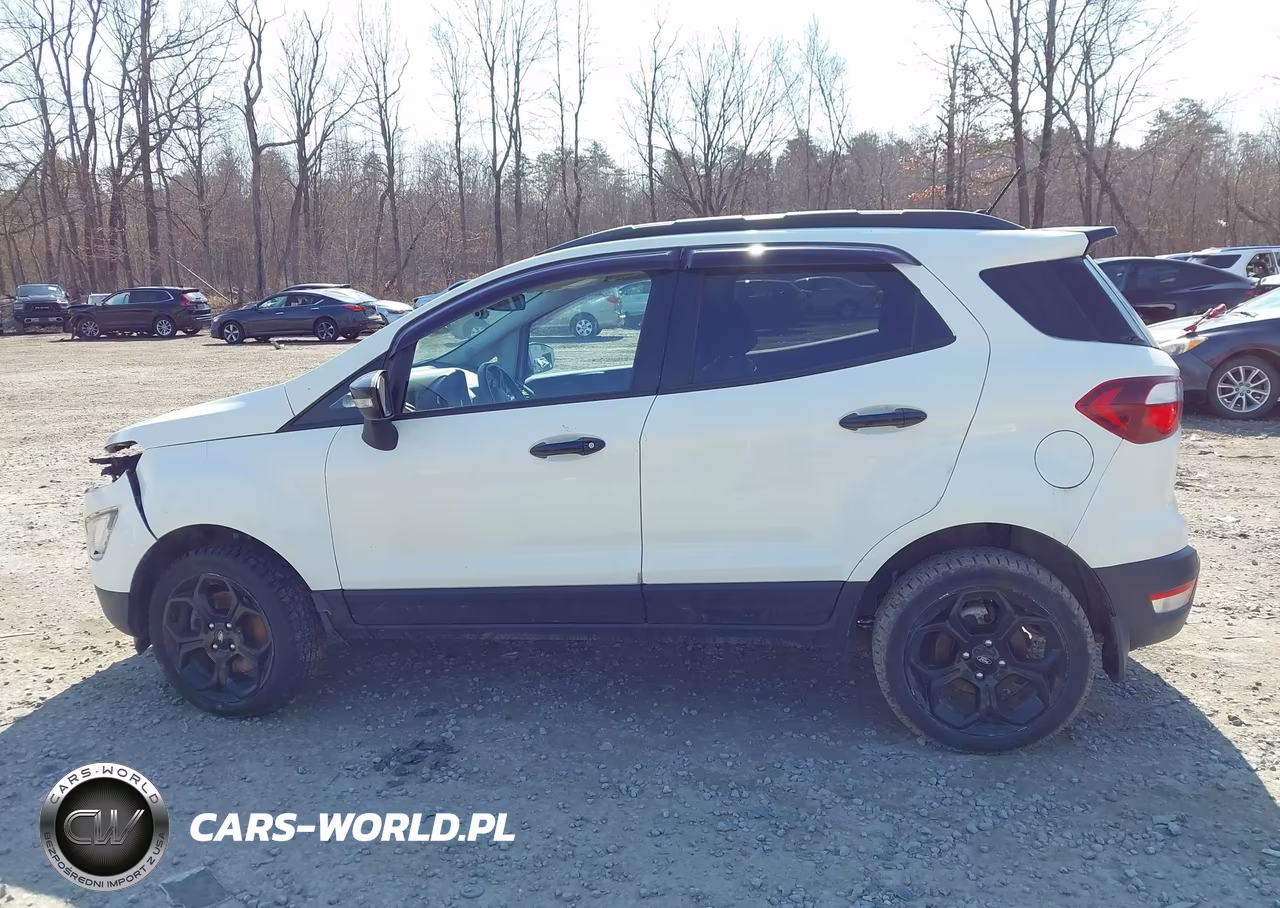 2021 Ford Ecosport Ses VIN:MAJ6S3JL7MC404437 - 14