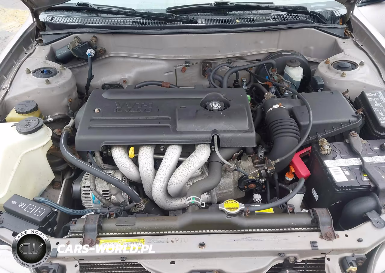 2000 Toyota Corolla Ve VIN:2T1BR12E3YC359163 - 10