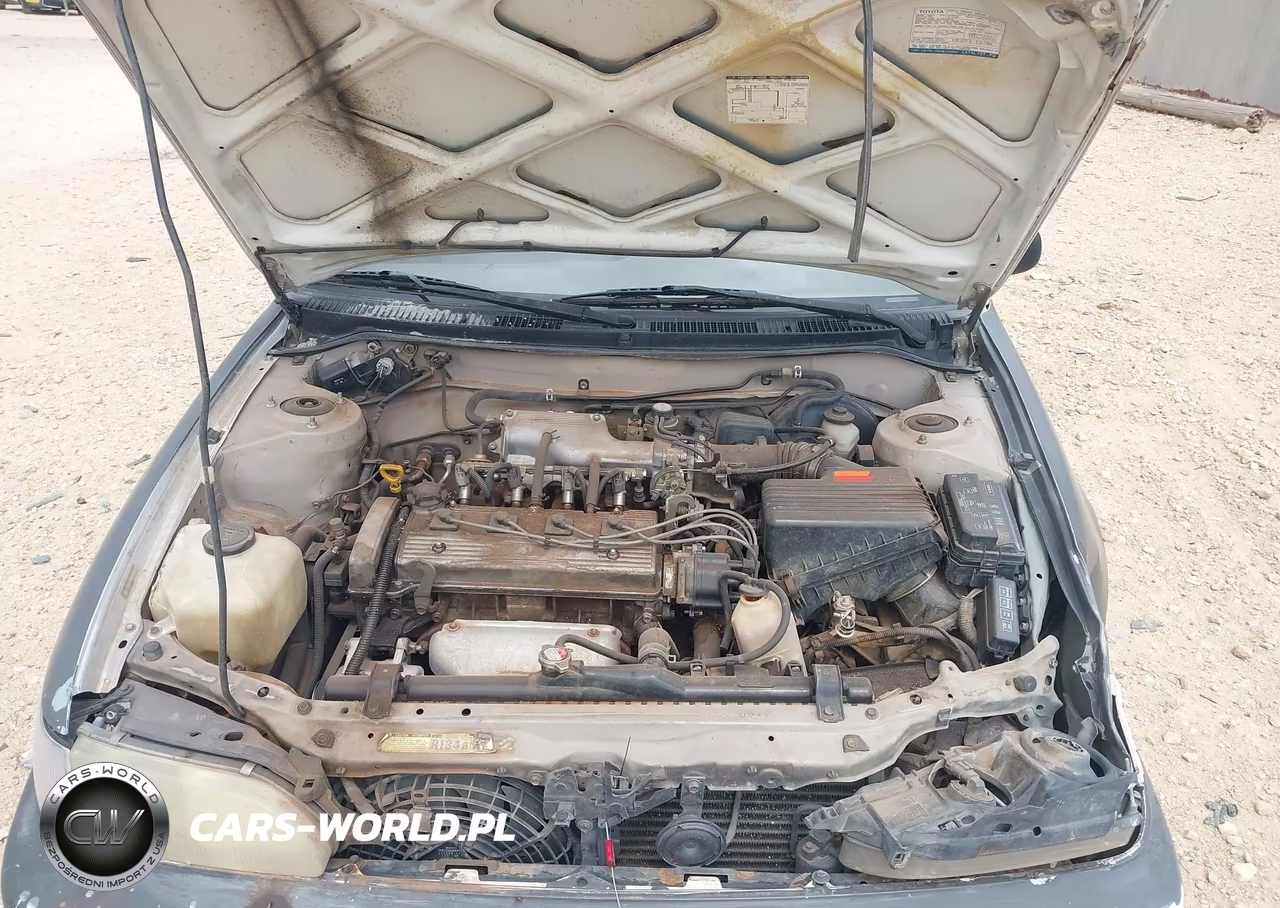 1997 Toyota Corolla Std VIN:1NXBA02E1VZ505586 - 10