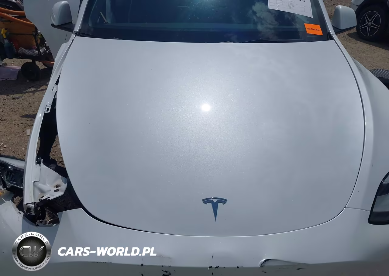2023 Tesla Model Y Awd-Long Range Dual Motor All-Wheel Drive VIN:7SAYGDEE7PA149883 - 10