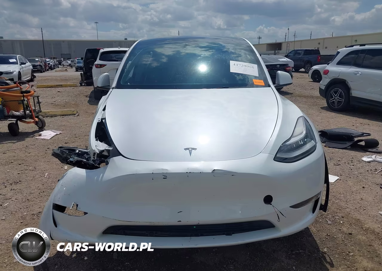 2023 Tesla Model Y Awd-Long Range Dual Motor All-Wheel Drive VIN:7SAYGDEE7PA149883 - 12