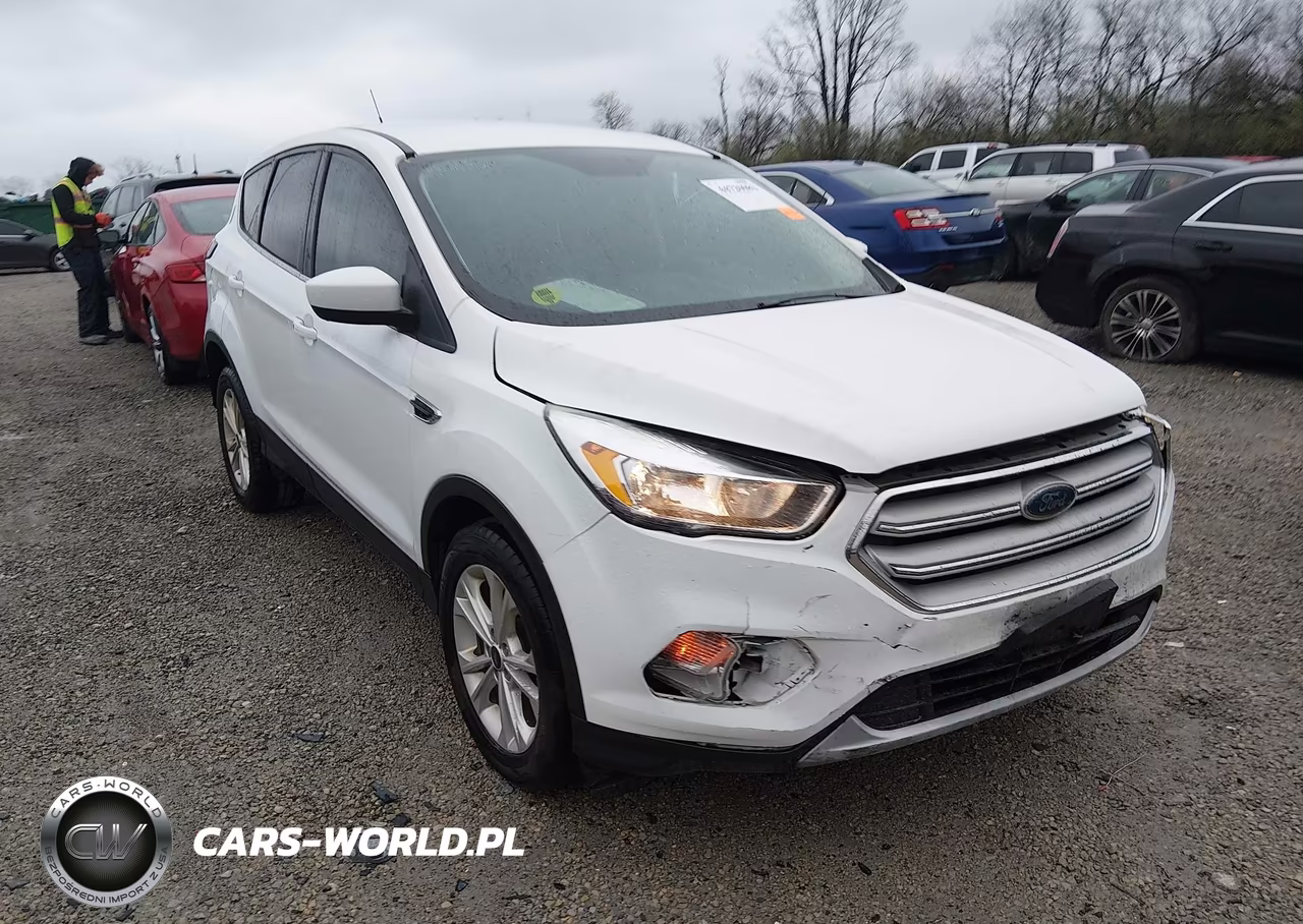 2019 Ford Escape Se