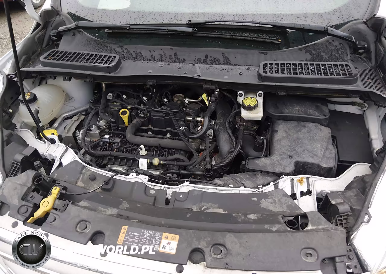 2019 Ford Escape Se VIN:1FMCU0GD3KUC35686 - 10