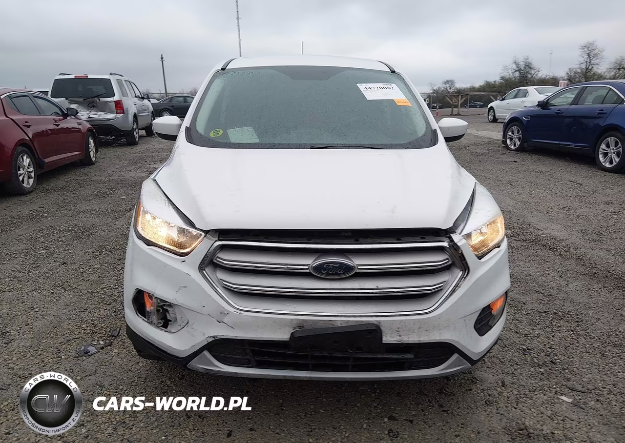 2019 Ford Escape Se VIN:1FMCU0GD3KUC35686 - 12