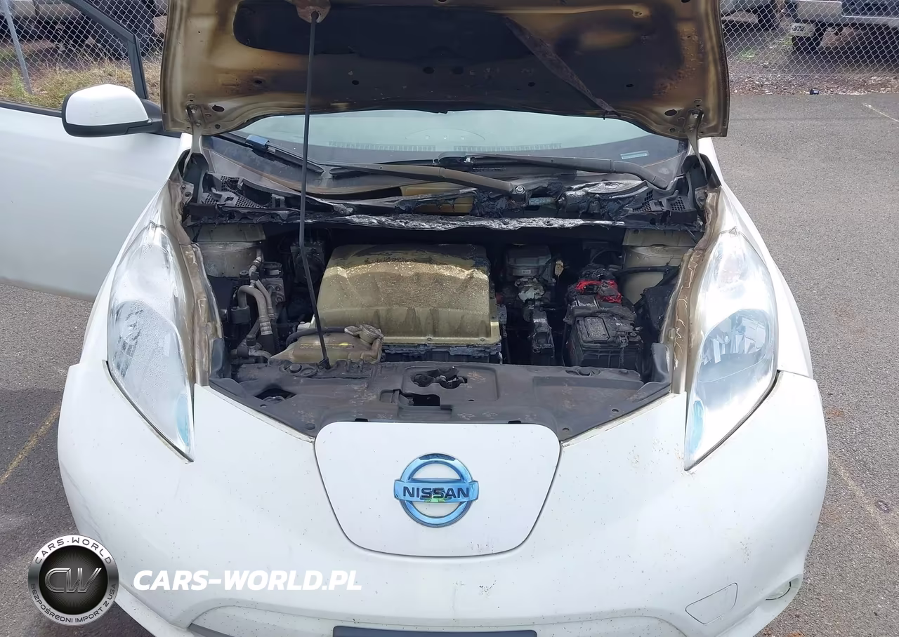 2017 Nissan Leaf Sv VIN:1N4BZ0CP1HC307121 - 10