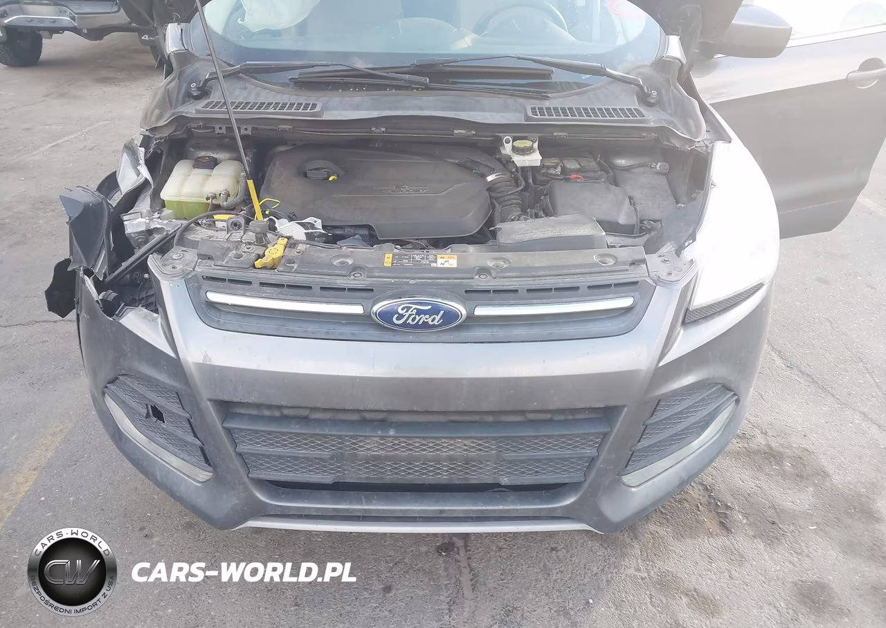 2014 Ford Escape Se VIN:1FMCU0GX9EUC94191 - 10