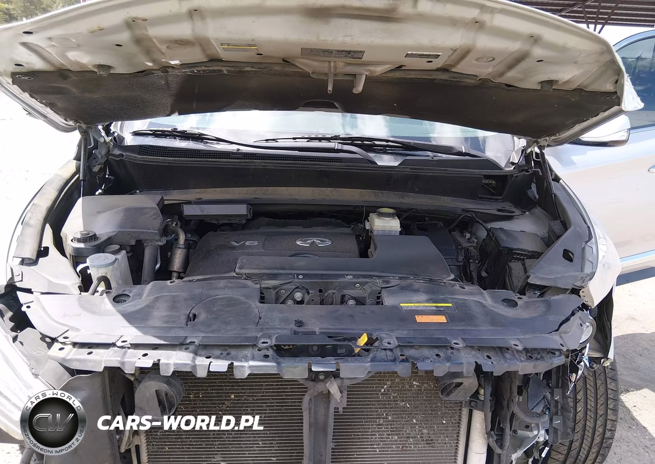 2020 Infiniti Qx60 Pure VIN:5N1DL0MN2LC532864 - 10