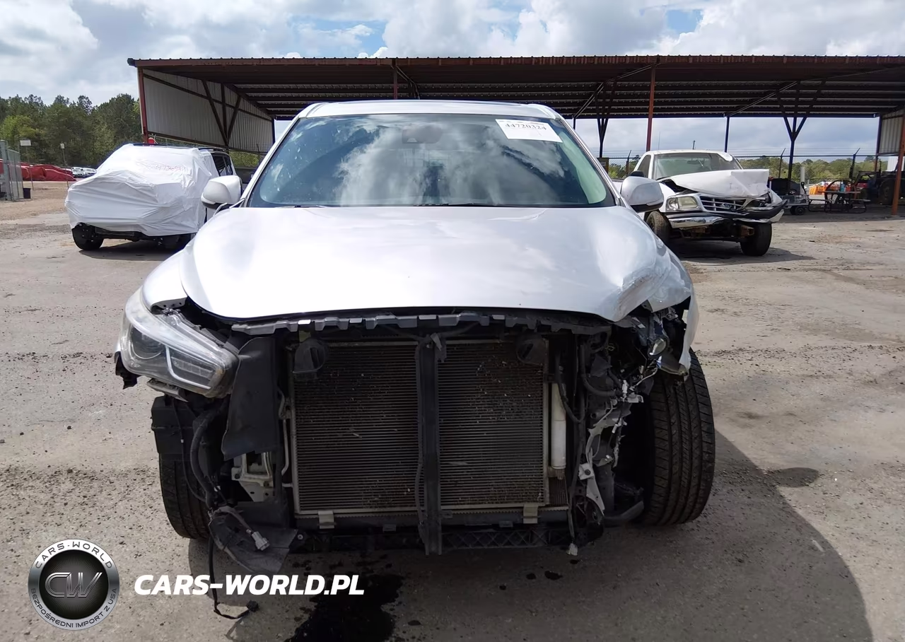 2020 Infiniti Qx60 Pure VIN:5N1DL0MN2LC532864 - 13