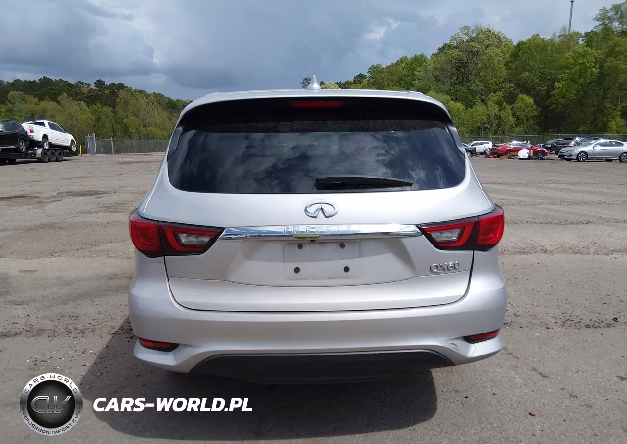 2020 Infiniti Qx60 Pure VIN:5N1DL0MN2LC532864 - 17