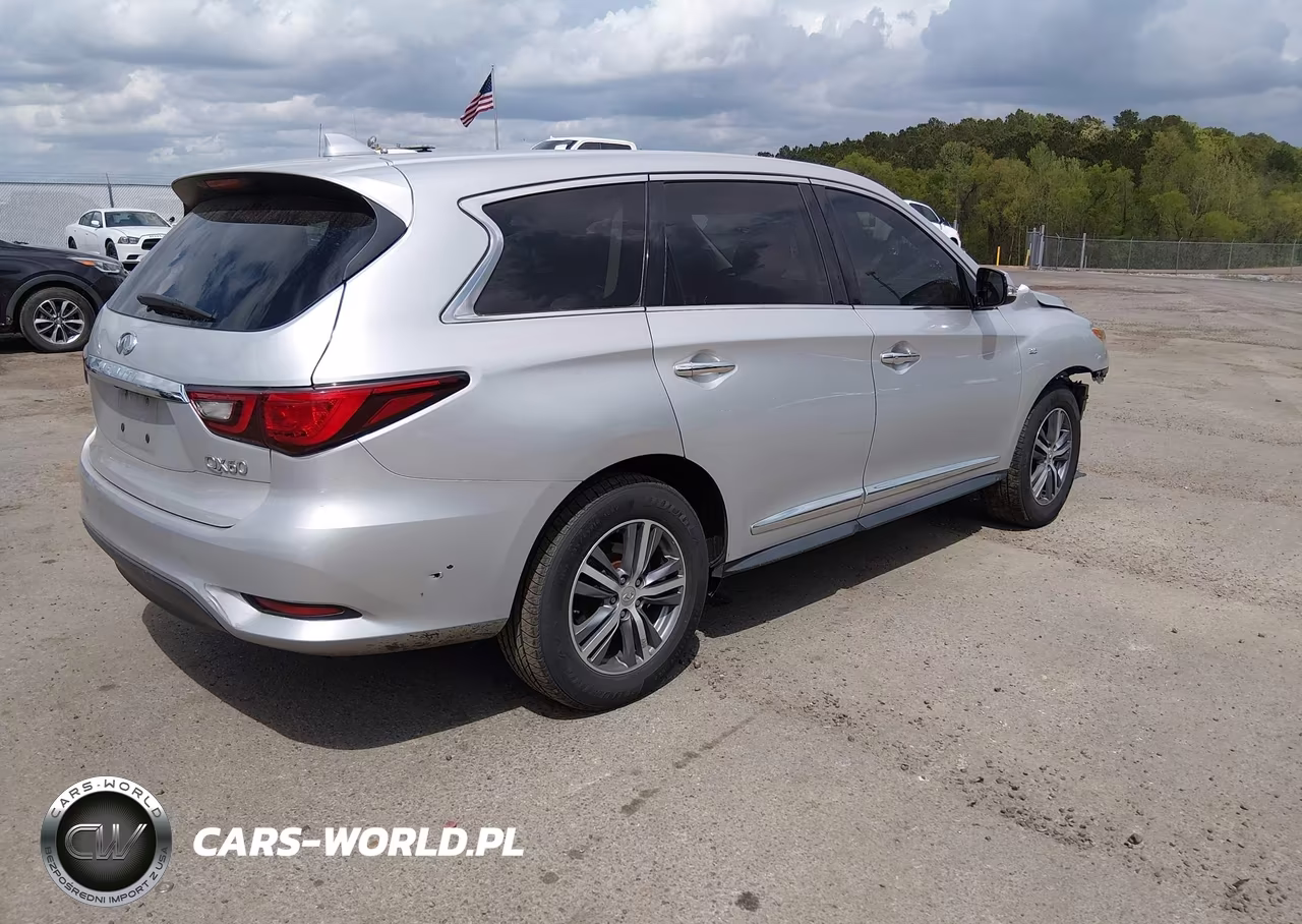 2020 Infiniti Qx60 Pure VIN:5N1DL0MN2LC532864 - 4