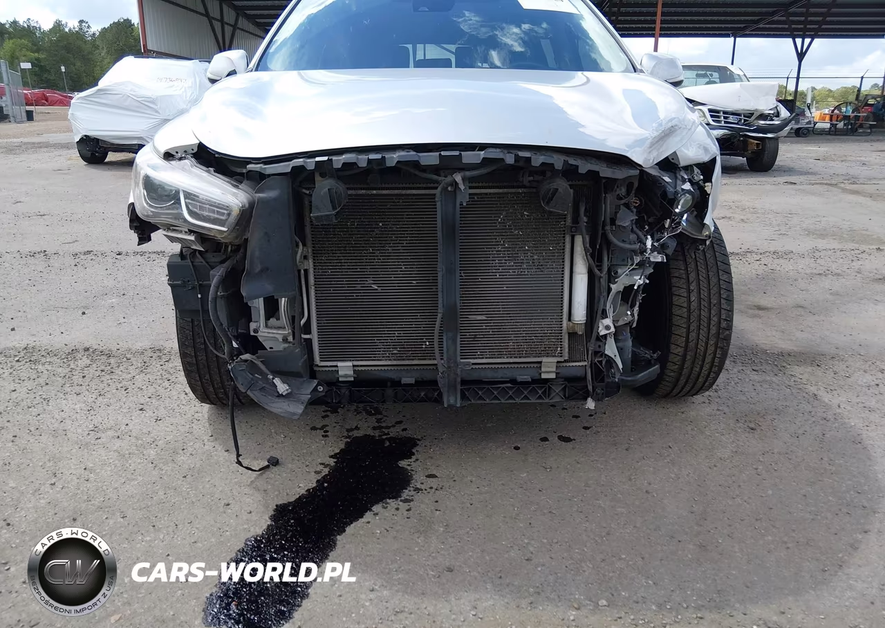 2020 Infiniti Qx60 Pure VIN:5N1DL0MN2LC532864 - 6