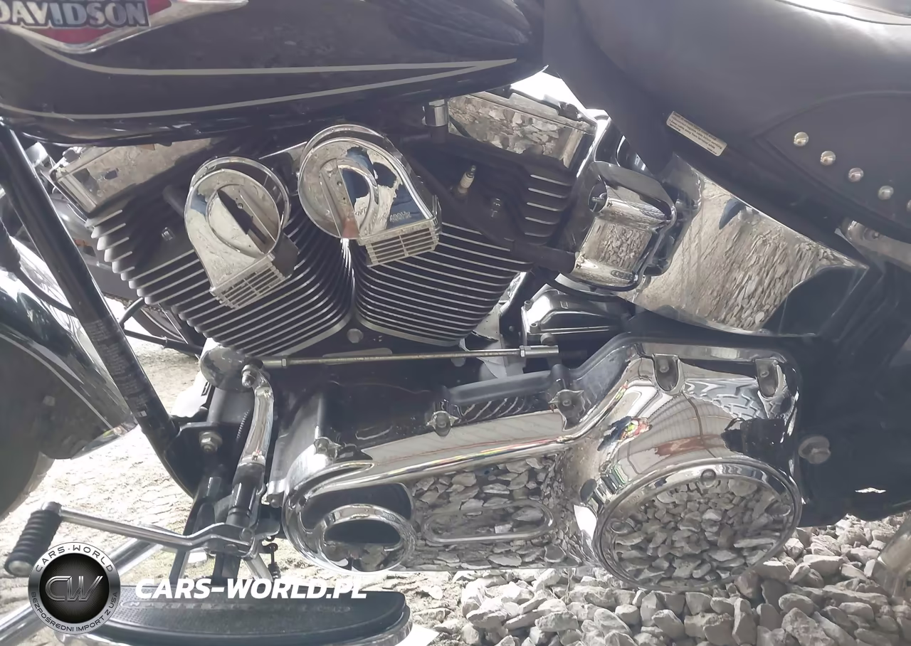 2009 Harley-Davidson Flstc VIN:1HD1BW5139Y051475 - 9