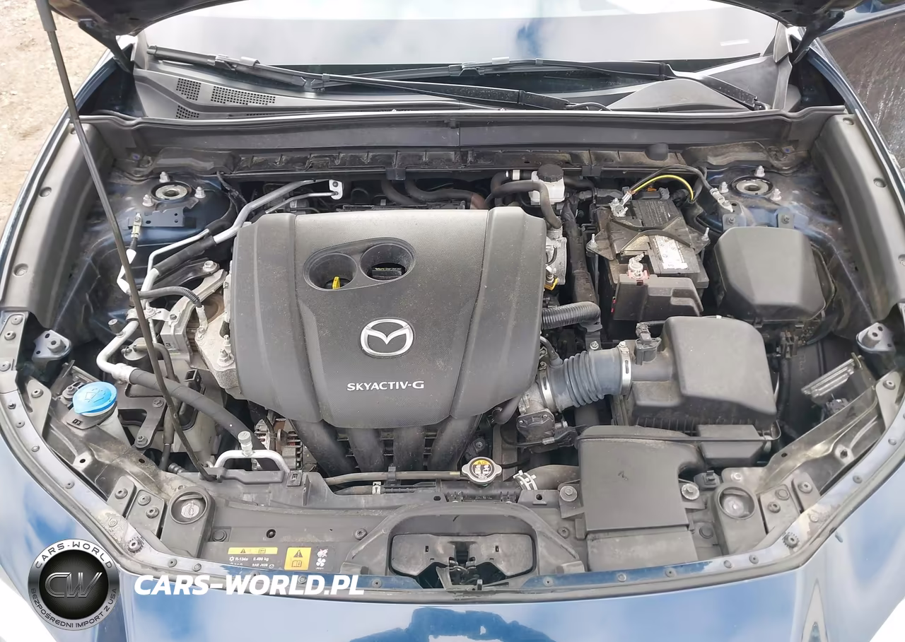 2021 Mazda Cx-30 Premium VIN:3MVDMBDM7MM233308 - 10