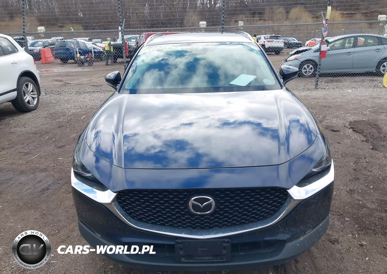 2021 Mazda Cx-30 Premium VIN:3MVDMBDM7MM233308 - 12