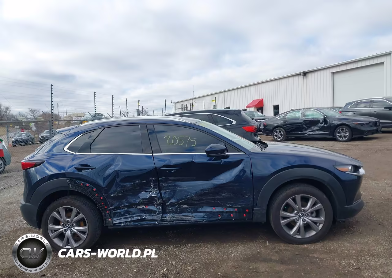 2021 Mazda Cx-30 Premium VIN:3MVDMBDM7MM233308 - 13