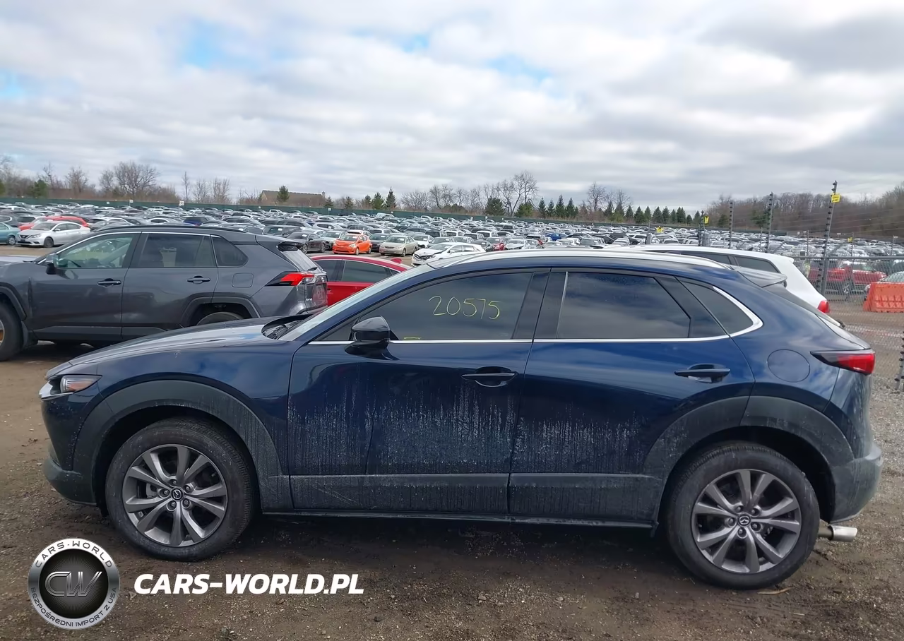 2021 Mazda Cx-30 Premium VIN:3MVDMBDM7MM233308 - 14