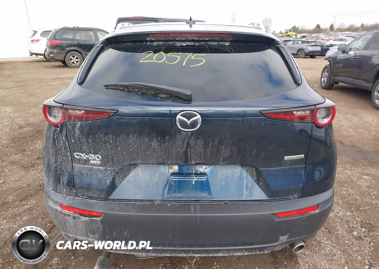 2021 Mazda Cx-30 Premium VIN:3MVDMBDM7MM233308 - 16