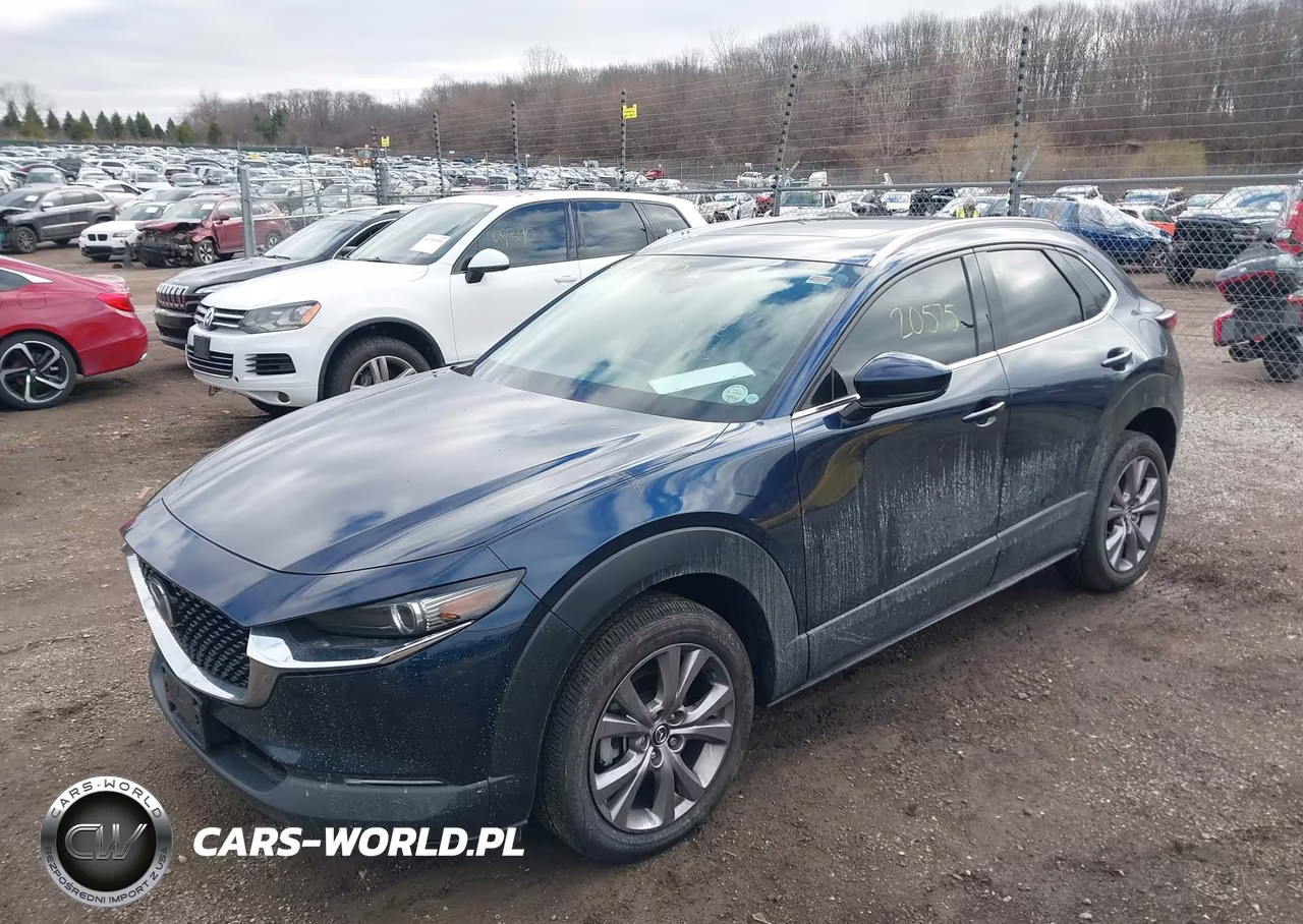 2021 Mazda Cx-30 Premium VIN:3MVDMBDM7MM233308 - 2