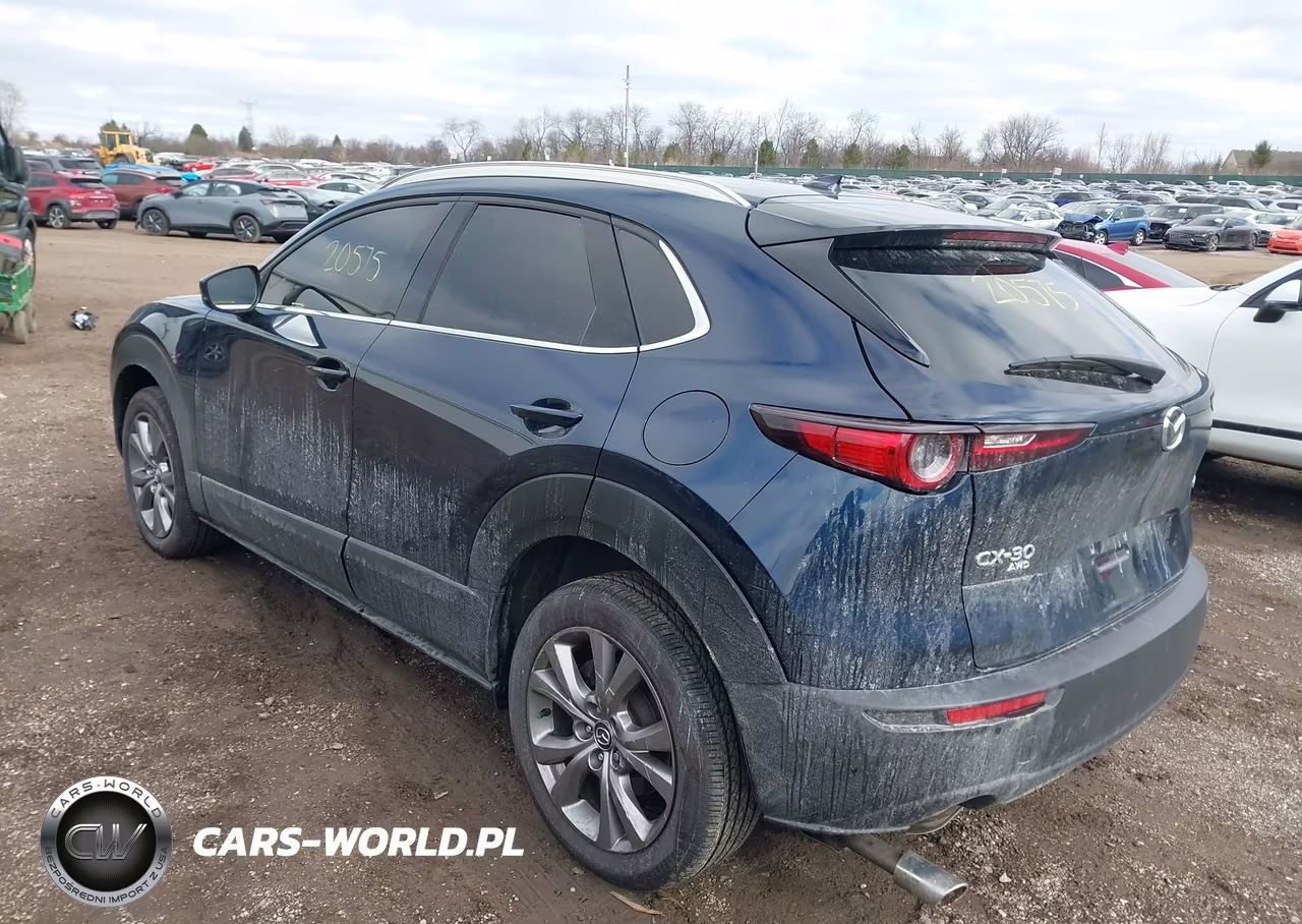 2021 Mazda Cx-30 Premium VIN:3MVDMBDM7MM233308 - 3