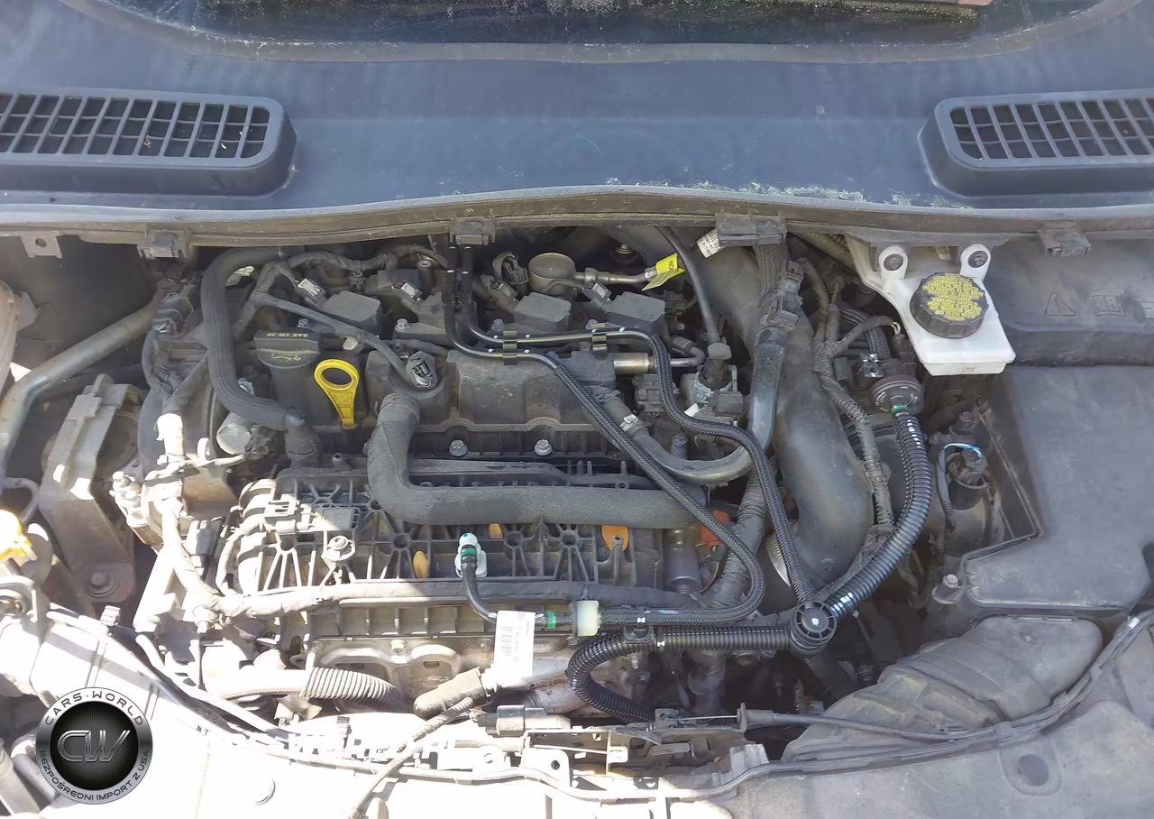 2019 Ford Escape Se VIN:1FMCU0GD7KUA62058 - 10