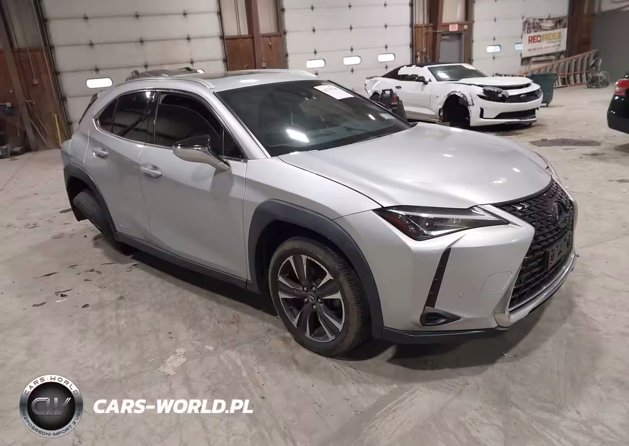 2019 Lexus Ux 250H