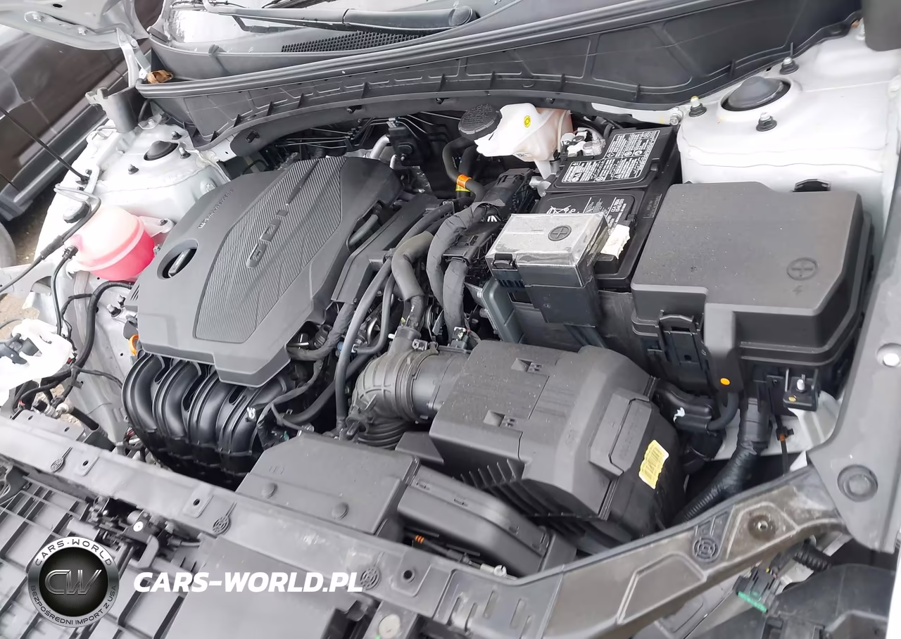 2023 Hyundai Tucson Se VIN:5NMJACAE1PH280955 - 10