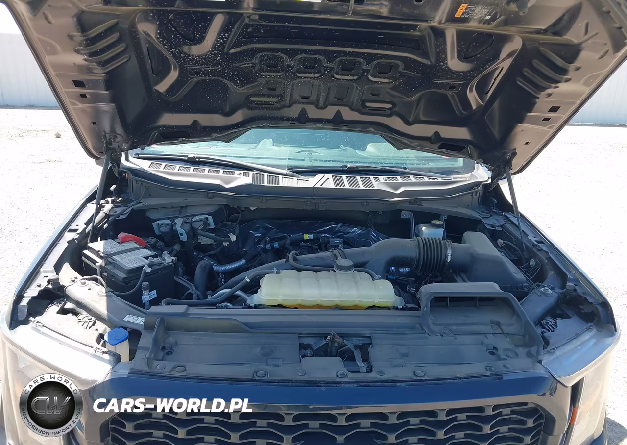 2023 Ford F-150 Xl VIN:1FTEW1CP3PKF89689 - 10