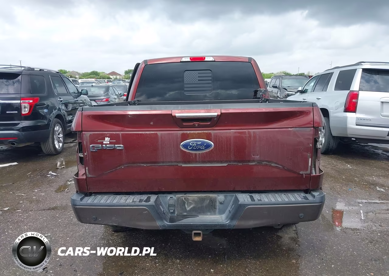 2015 Ford F-150 Lariat VIN:1FTEW1CG9FKE82838 - 16