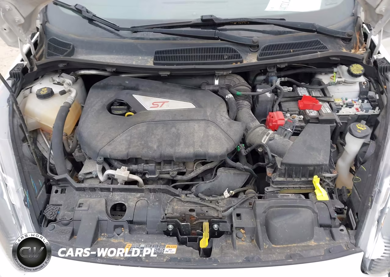 2017 Ford Fiesta St VIN:3FADP4GX9HM161744 - 10