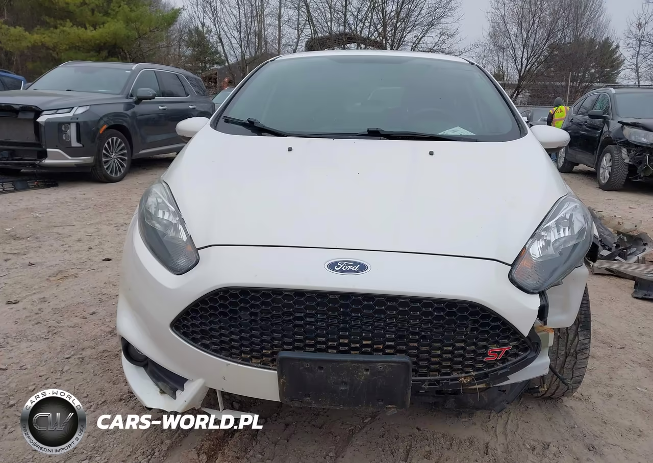 2017 Ford Fiesta St VIN:3FADP4GX9HM161744 - 13