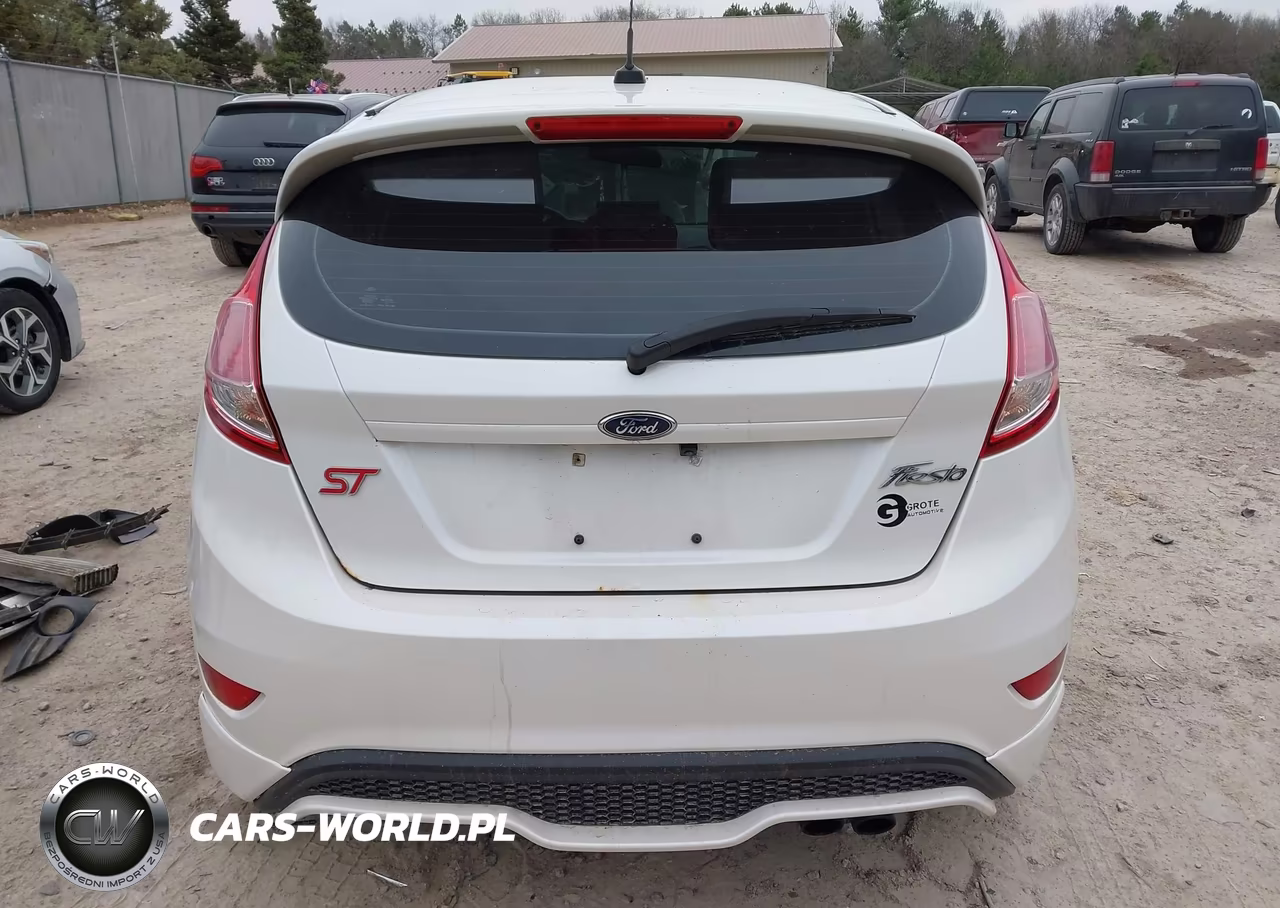 2017 Ford Fiesta St VIN:3FADP4GX9HM161744 - 17