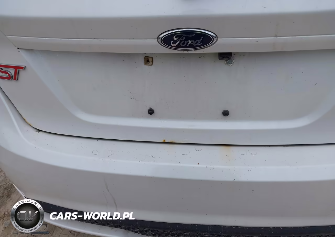 2017 Ford Fiesta St VIN:3FADP4GX9HM161744 - 21