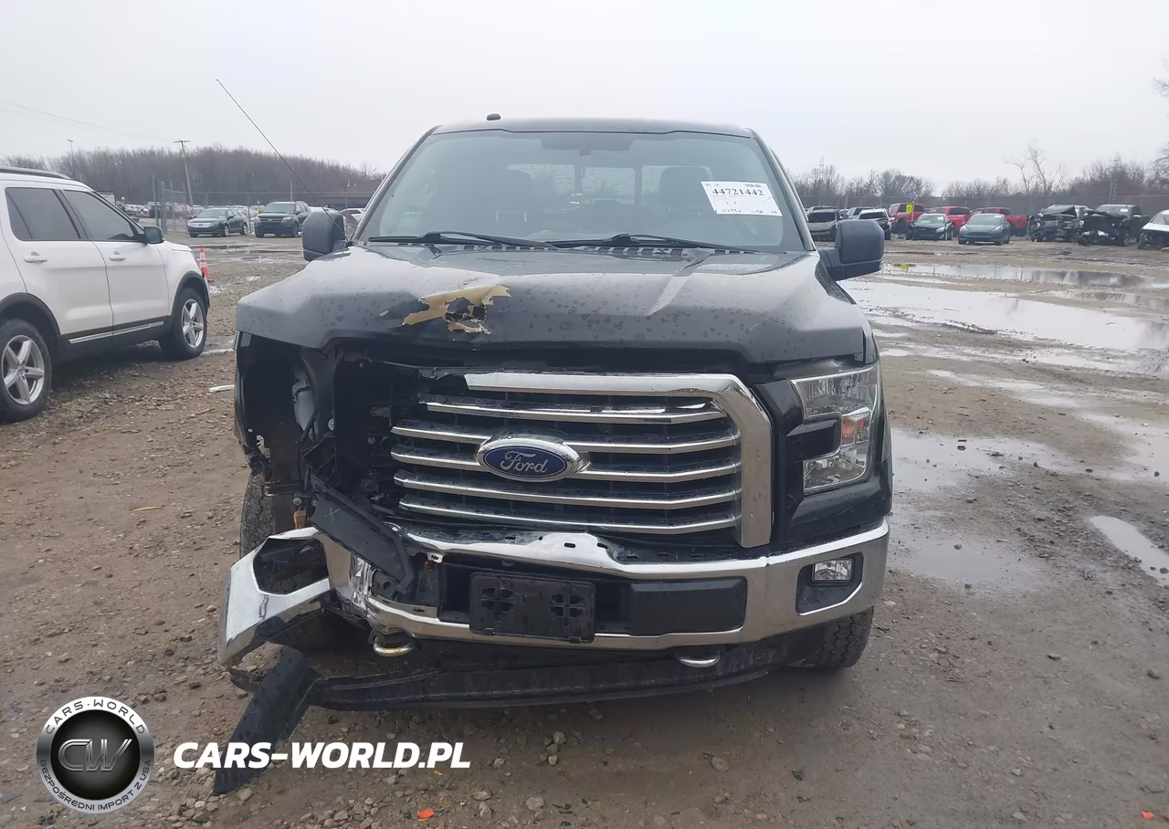 2016 Ford F-150 Xlt VIN:1FTEW1EG2GKE49243 - 13