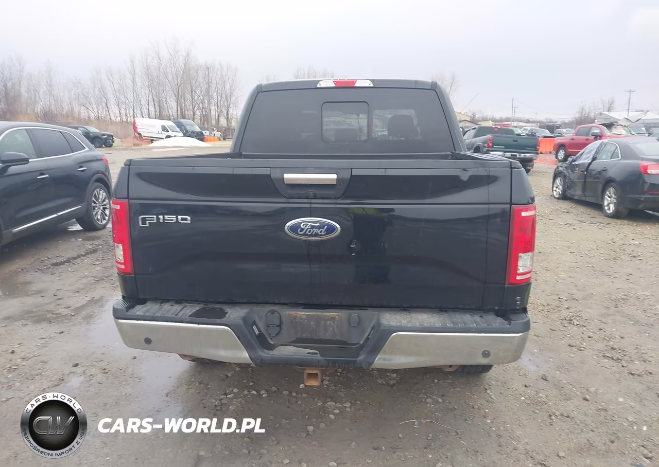 2016 Ford F-150 Xlt VIN:1FTEW1EG2GKE49243 - 17