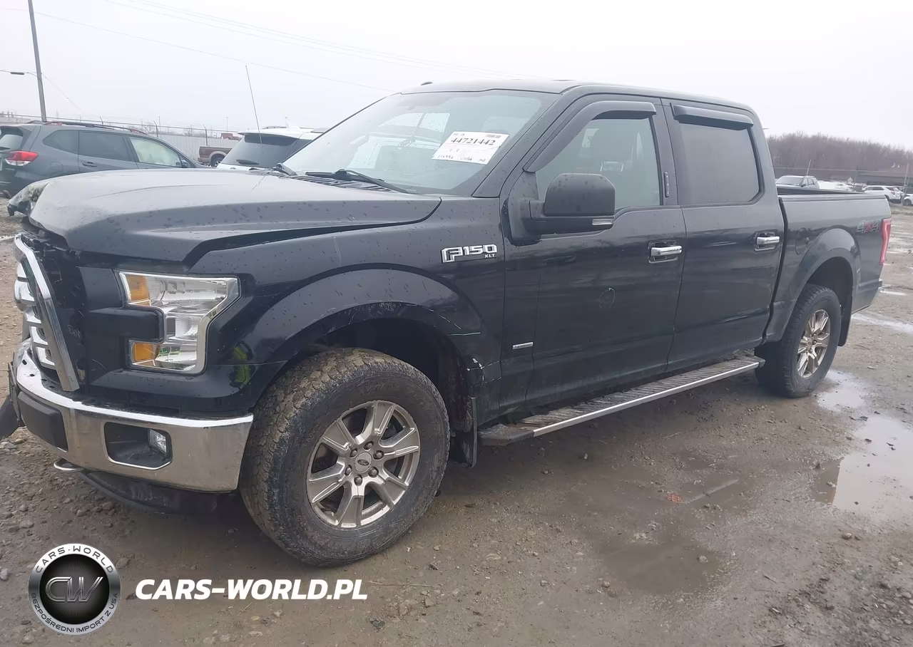 2016 Ford F-150 Xlt VIN:1FTEW1EG2GKE49243 - 2