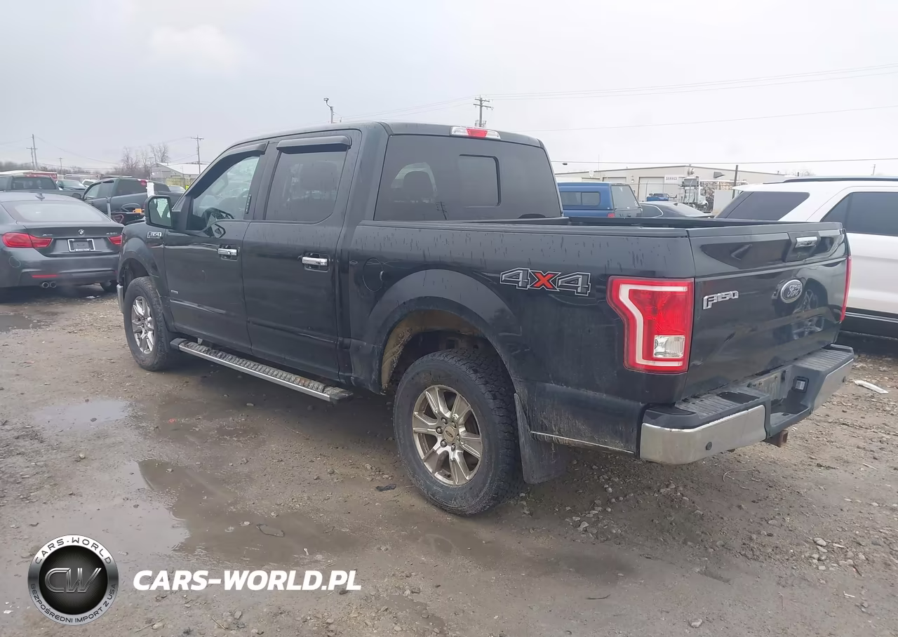 2016 Ford F-150 Xlt VIN:1FTEW1EG2GKE49243 - 3