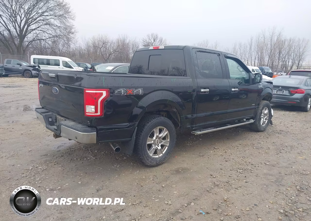 2016 Ford F-150 Xlt VIN:1FTEW1EG2GKE49243 - 4