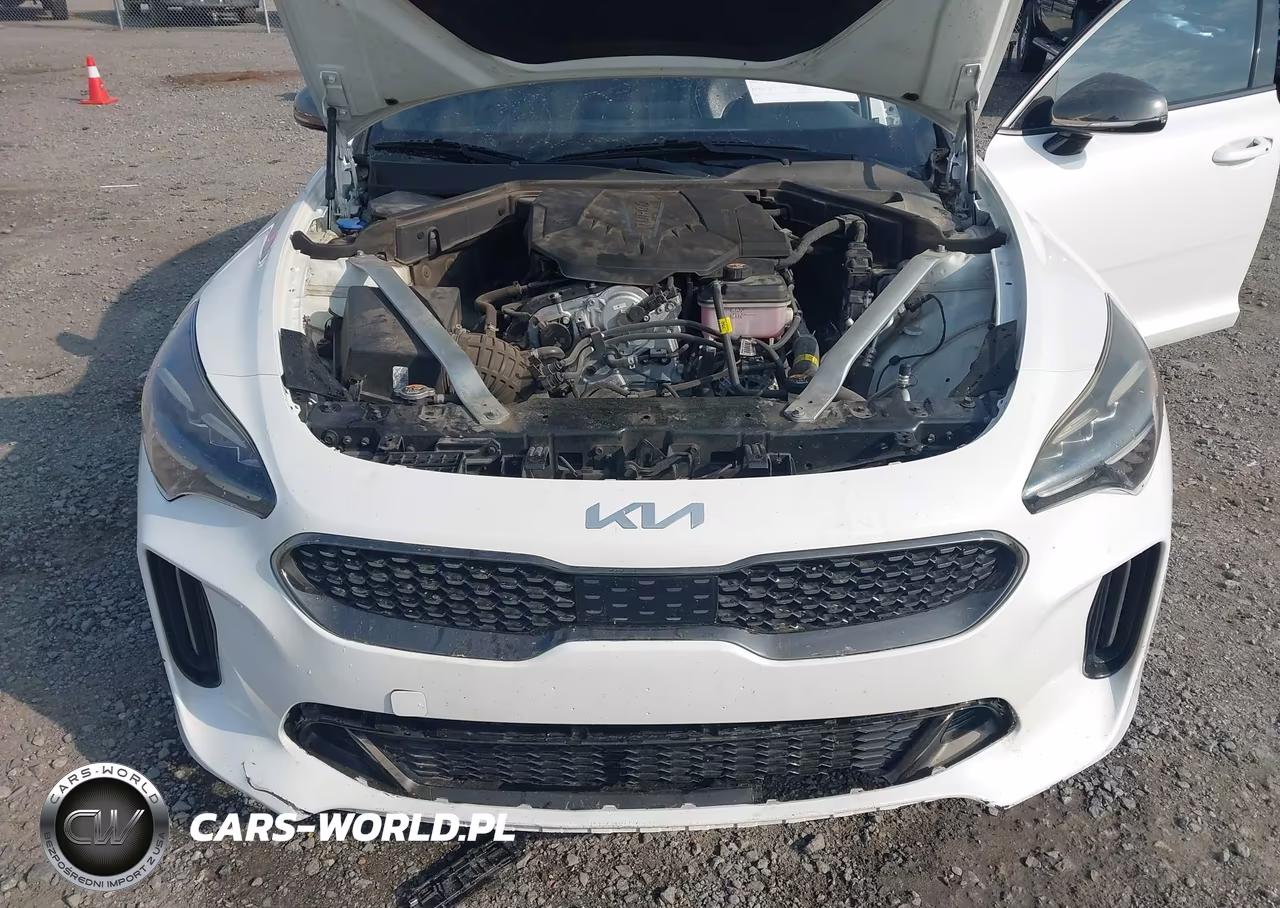 2022 Kia Stinger Gt-Line VIN:KNAE35LDXN6103419 - 10
