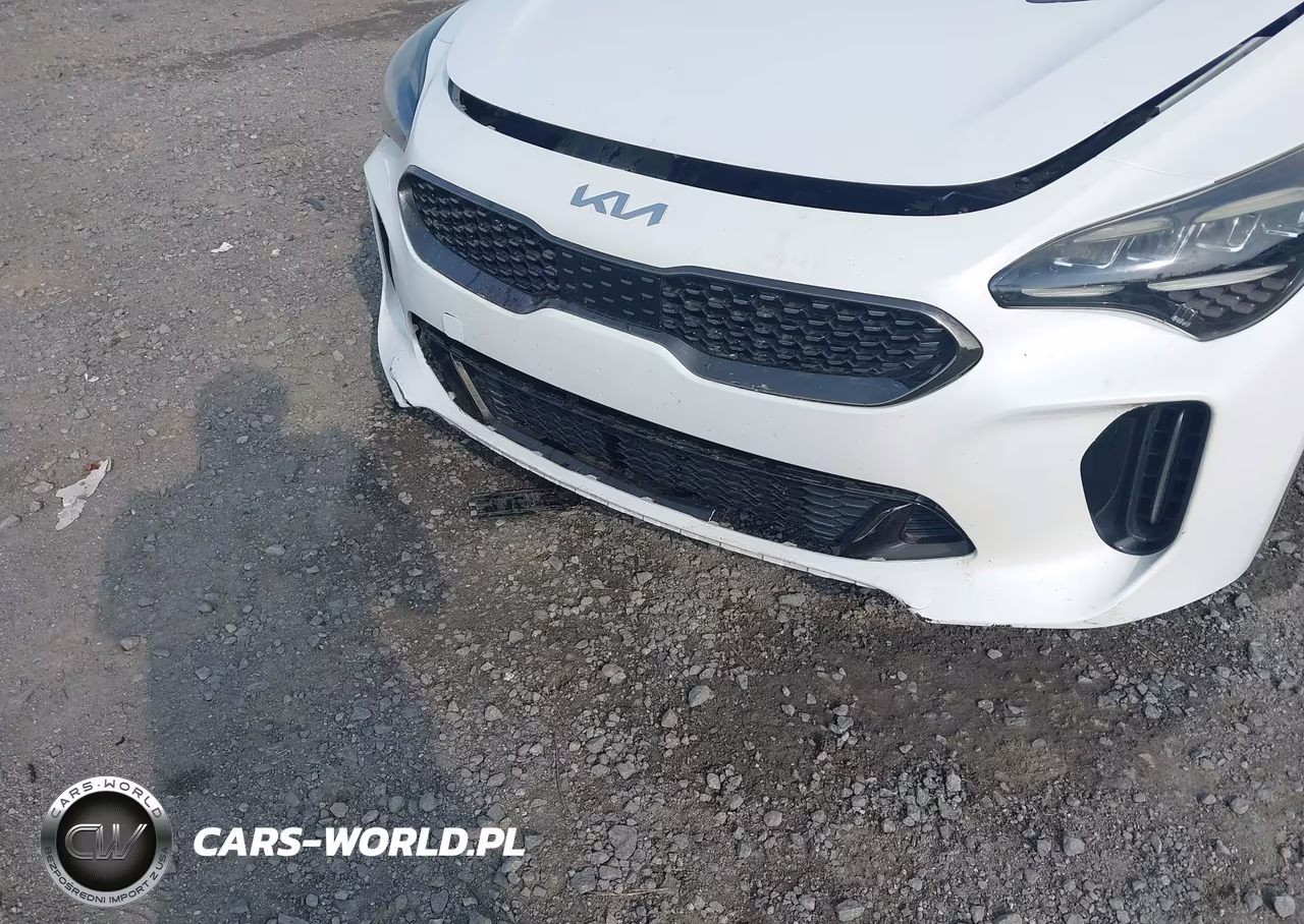 2022 Kia Stinger Gt-Line VIN:KNAE35LDXN6103419 - 6