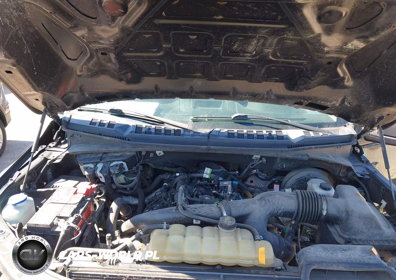 2019 Ford F-150 Xl VIN:1FTEX1CP9KKC60498 - 10