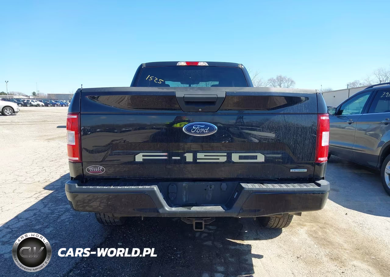 2019 Ford F-150 Xl VIN:1FTEX1CP9KKC60498 - 17