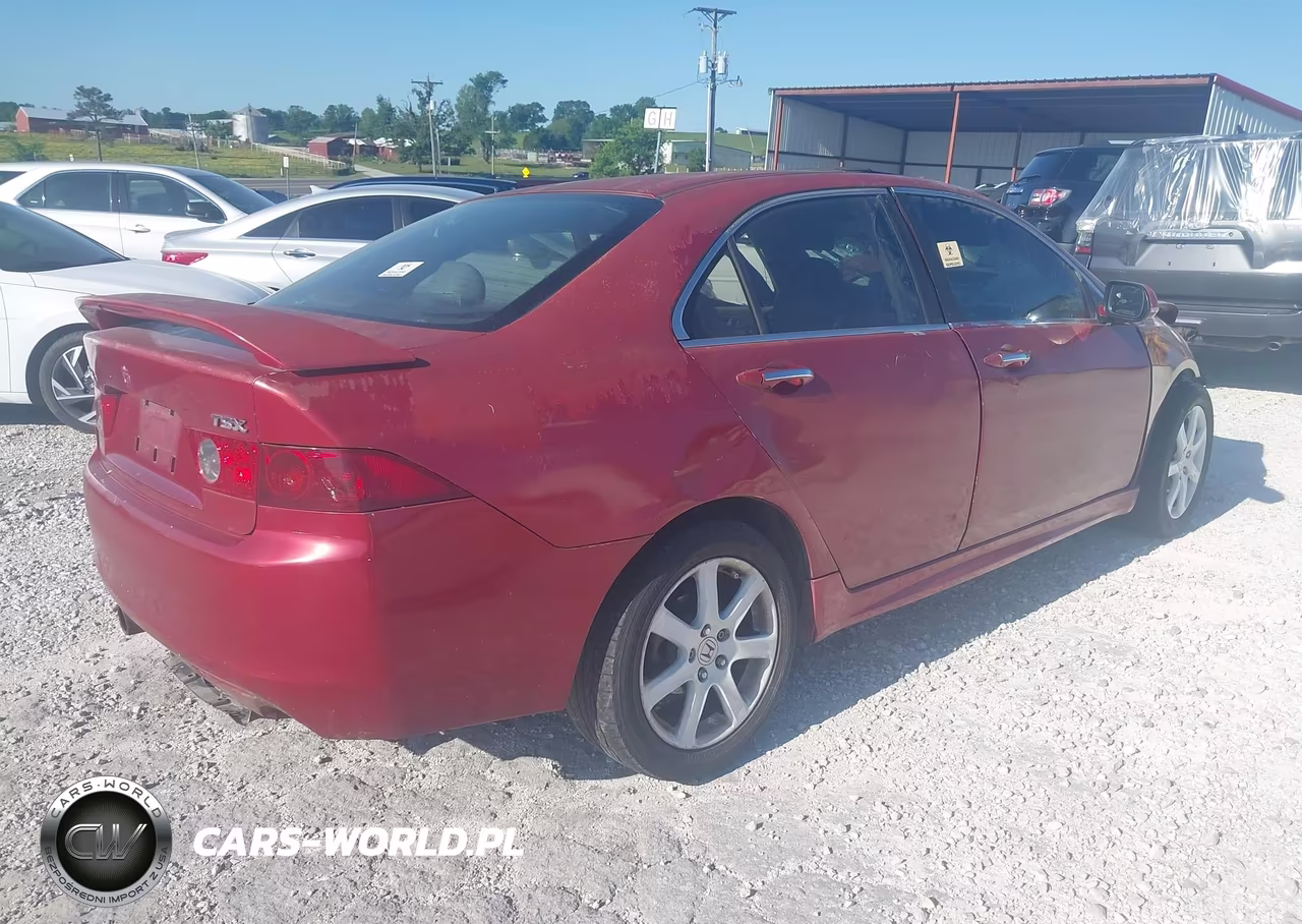 2004 Acura Tsx VIN:JH4CL96844C016405 - 4