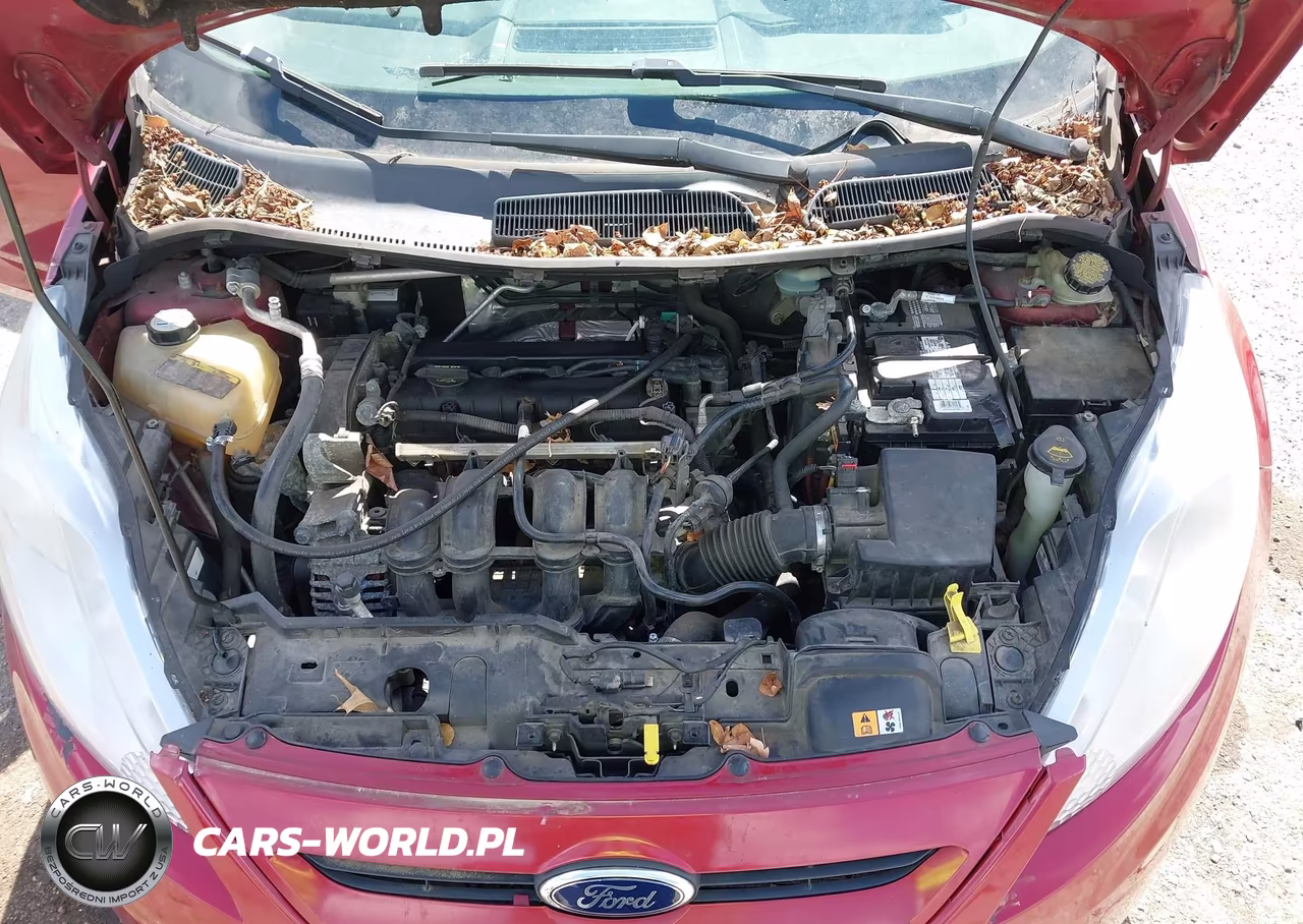 2013 Ford Fiesta Se VIN:3FADP4EJ6DM175447 - 10