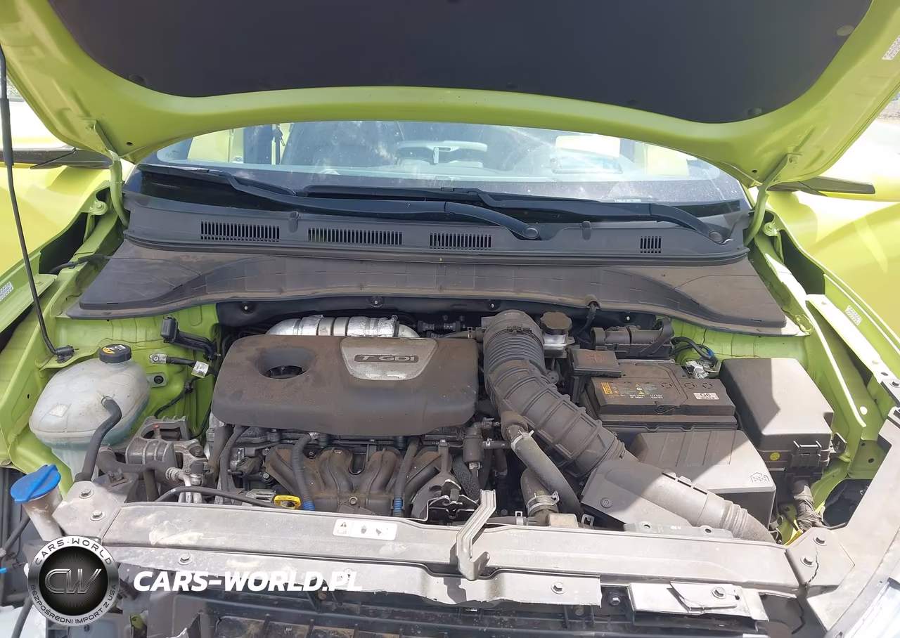 2019 Hyundai Kona Ultimate VIN:KM8K5CA51KU390667 - 10