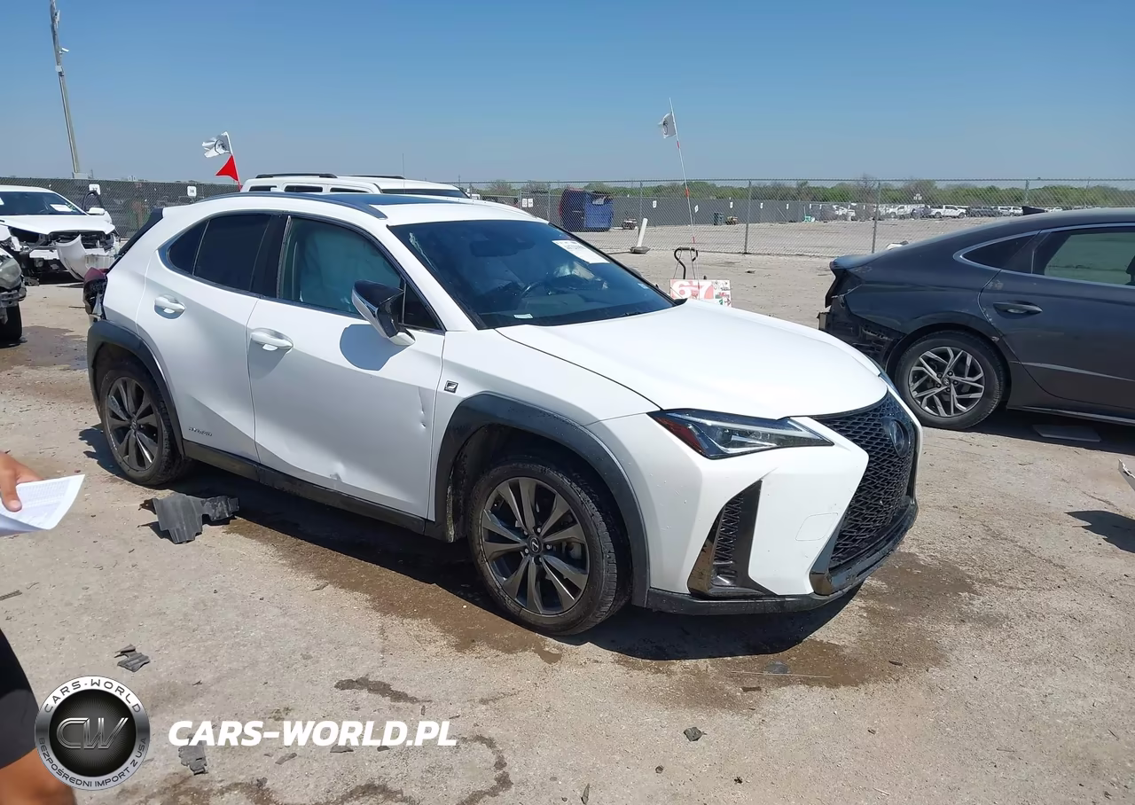 2019 Lexus Ux 250H F Sport