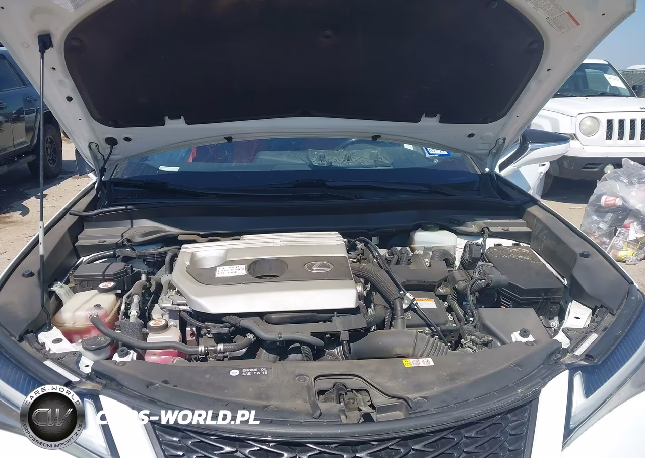 2019 Lexus Ux 250H F Sport VIN:JTHU9JBH6K2014846 - 10